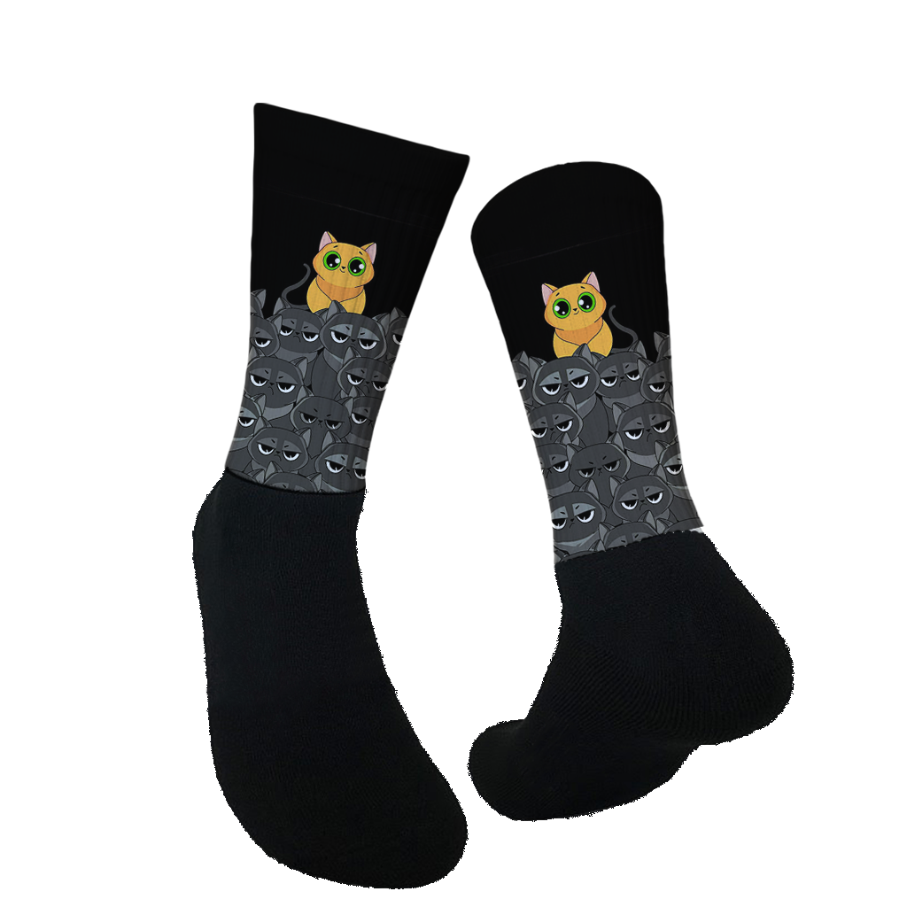 Cat on Cats
