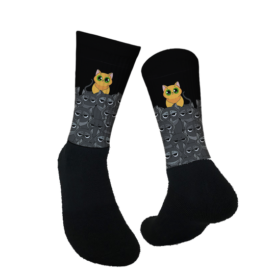 Cat on Cats